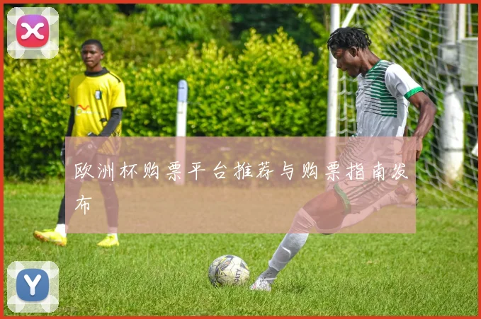 欧洲杯购票平台推荐与购票指南发布