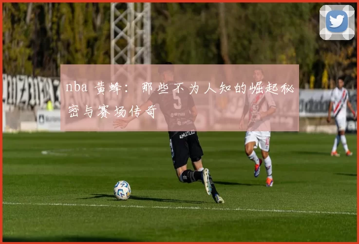 nba 黄蜂：那些不为人知的崛起秘密与赛场传奇