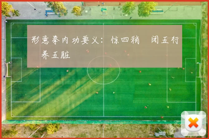 形意拳内功要义:惊四稍・闭五行・养五脏