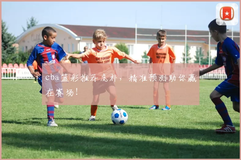 cba篮彩推荐虎朴，精准预测助你赢在赛场！